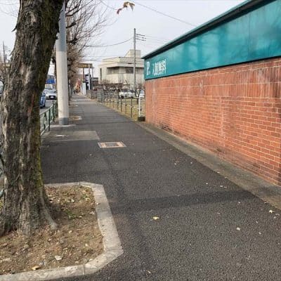 歩道もあるので安全に歩行できます。