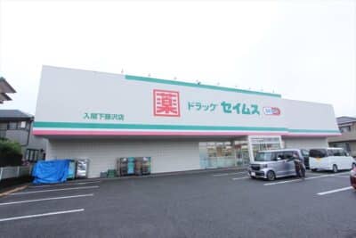 ドラッグセイムス入間下藤沢店