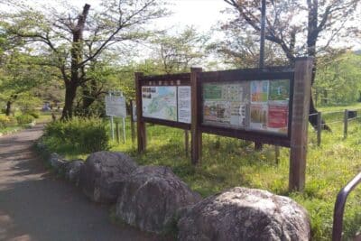 都立狭山公園_2022.0416002