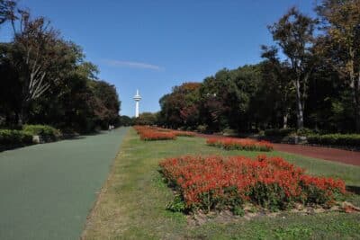 航空記念公園_1