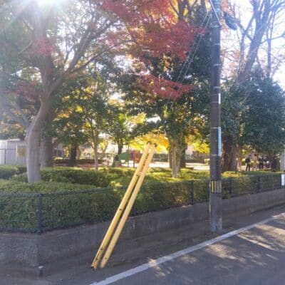 目の前は公園となります。